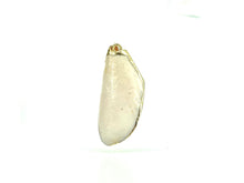 Mother Of Pearl Shell With Alloy, Sku#667