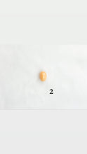 Melo melo conch pearls