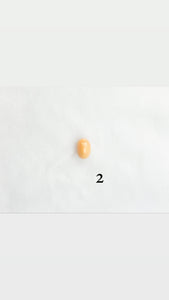 Melo melo conch pearls