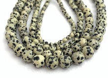 Dalmatian Jasper Bead Strand Sku#M2907