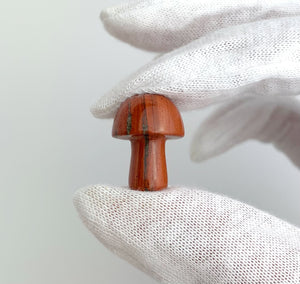 Red Jasper Mushrooms