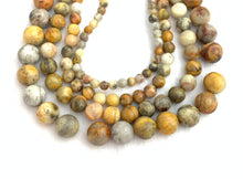 Crazy Lace Jasper Bead Strand Sku#M2909