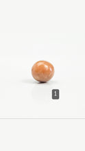 Cassis pearl, SKU#CP1