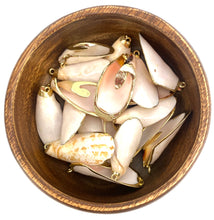 Mother Of Pearl Shell With Alloy, Sku#667
