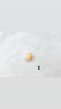 Melo melo conch pearls