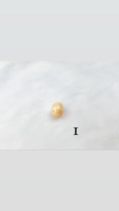Melo melo conch pearls