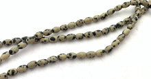 Dalmatian Jasper Bead Strand Sku#M2817
