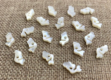 Mother of Pearl Mermaid Beads Sku#M608