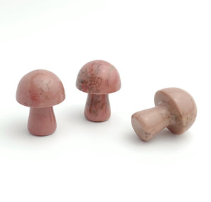 Dialogite Mushroom