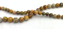 Crazy Lace Jasper Bead Strand Sku#M2909