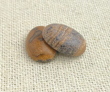 Picture Jasper Oval Cabochon