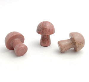Dialogite Mushroom