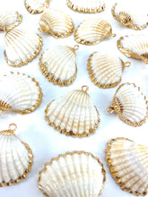 Mother Of Pearl Seashell Beads, Sku#M640