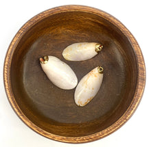Mother Of Pearl Shell With Alloy, Sku#667