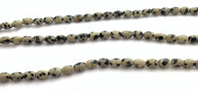 Dalmatian Jasper Bead Strand Sku#M2817