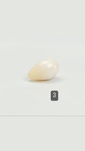 Cassis pearl, SKU#CP1