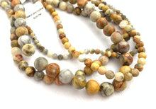 Crazy Lace Jasper Bead Strand Sku#M2909