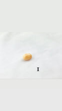 Melo melo conch pearls