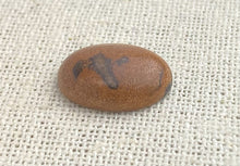Picture Jasper Oval Cabochon