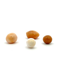 Cassis pearl, SKU#CP1