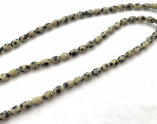 Dalmatian Jasper Bead Strand Sku#M2817