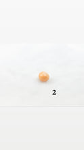 Melo melo conch pearls