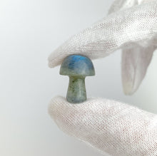 Labradorite Mushroom