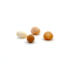Cassis pearl, SKU#CP1
