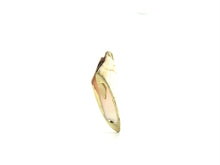 Mother Of Pearl Shell With Alloy, Sku#667