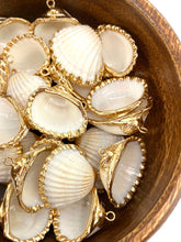 Mother Of Pearl Seashell Beads, Sku#M640